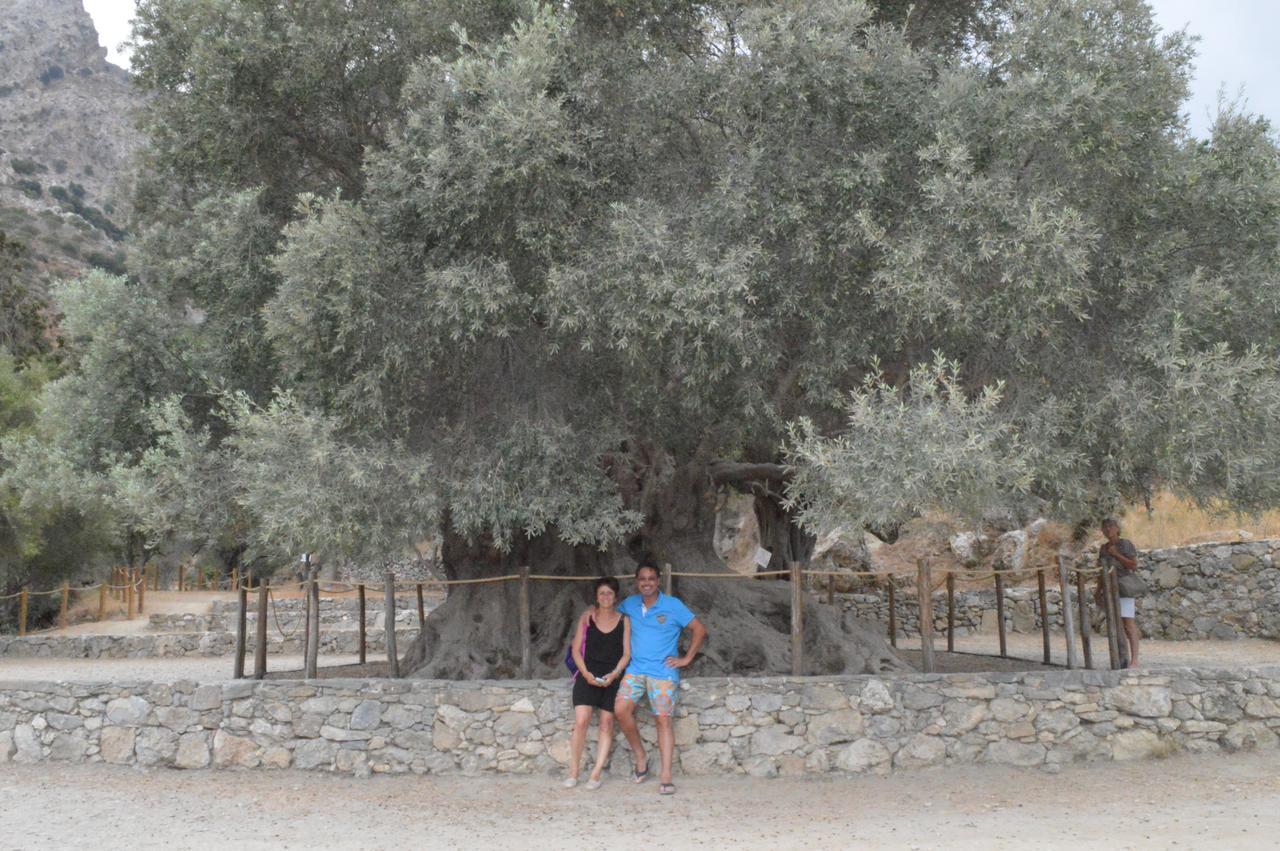Tholos Rooms Kavoúsion 외부 사진