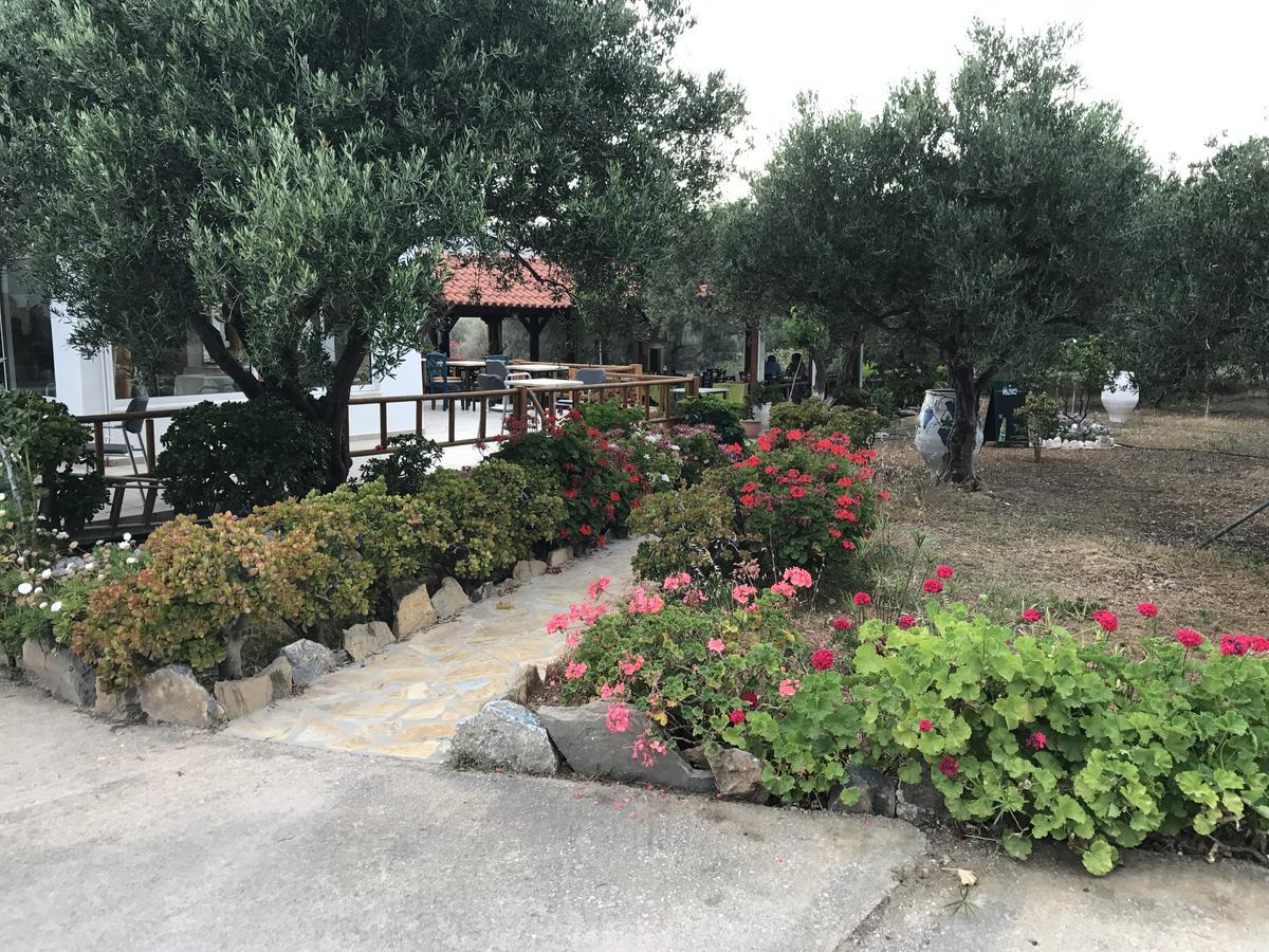 Tholos Rooms Kavoúsion 외부 사진